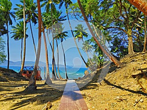 Netaji Subhash Chandra Bose Island,Ross IslandAndaman islands