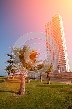 Netanya at sunrise photo