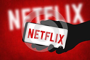 Netflix subscription streaming service