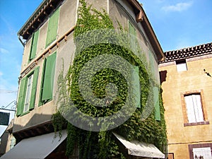 The Netherlands is also a historic house covered with ivy