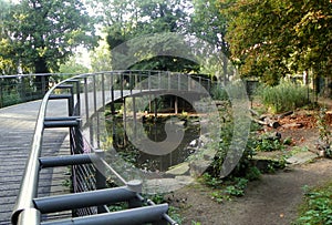 Netherlands, Amsterdam, Plantage Kerklaan, Artis Royal Zoo (Natura Artis Magistra), pedestrian bridge across the pond