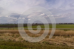 Netherlands, Hague, Schiphol, a close up of a dry grass field