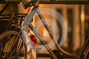 Rusty Bicycle With Cobwebs and Spider