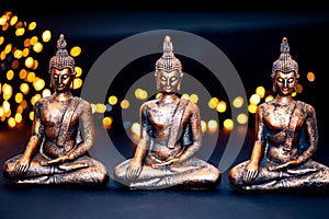 Netherlands. October 2022.buddha statue in calm rest pose. Shakyamuni Buddha is a spiritual teacher, one of the three photo