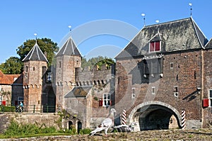 Pigeons in front of city gate Koppelpoort Amersfoort