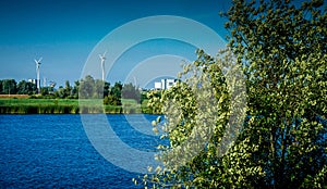 Netherlands, South Holland, a tree next to a windmill