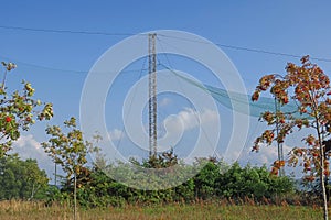 Nets in the birds ringing station in Vente cape, Lithuania