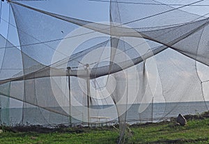 Nets in the birds ringing station in Vente cape, Lithuania