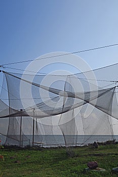 Nets in the birds ringing station in Vente cape, Lithuania