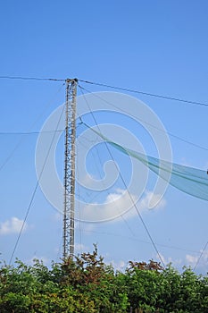 Nets in the birds ringing station in Vente cape, Lithuania