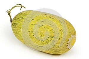 Netted melon