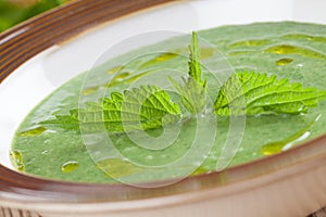 Nettle cream soup