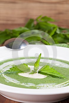 Nettle cream soup with sour cream