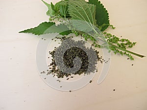 Nettle and dried nettle seeds