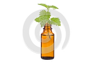 Nettle extract and bottle - Natural Remedies, isolated