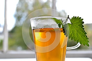 Ortiga herbario té 