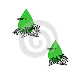 Nettle oil icon set. Hand drawn sketch. Extract of plant. Vector illustration