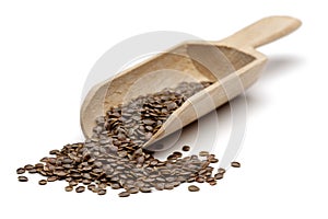Nettle seeds and wooden scoop on white background photo