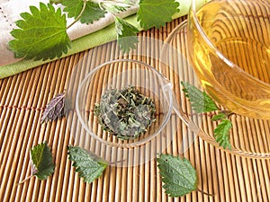 Nettle tea