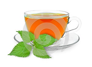 Nettle tea