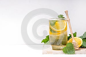 Nettle Tea cold plant drink, iced tea or lemonade