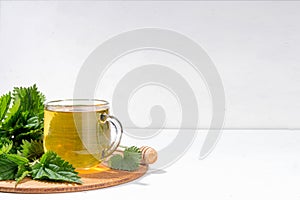 Nettle Tea hot plant drink