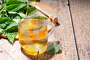 Nettle Tea hot plant drink