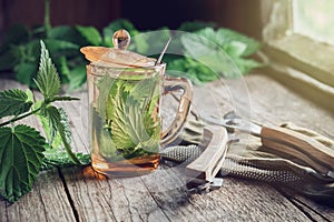Nettle tea or infusion, nettle plants and garden pruner on wooden table.