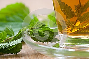 Nettle tea with stinging nettle inside teacup photo