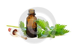 Nettle tincture in a small bottle and fresh leaves on white wood photo