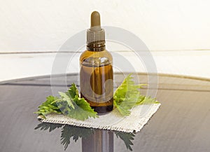 Nettles essential oil or infusion in brown medical pipette bottle with decorative nettle branches wooden board background.