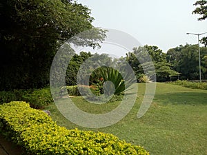 Netural Green park studios photo