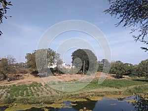 Neture of indian village river and trees .