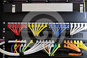 network cabinet with ethernet cable assemblies photo