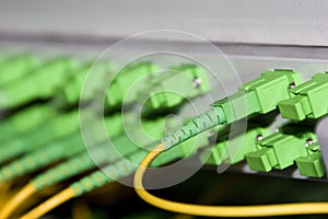 Network cable