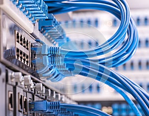 Network cable closeup with fiber optical