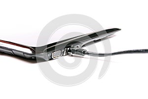 network cable connected into a laptop