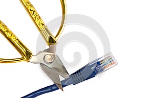 Network cable cut by scissors