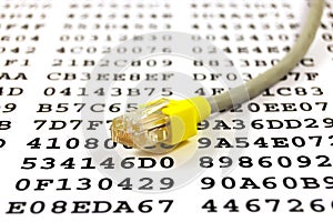 Network cable and encryption key