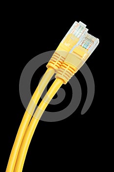 Network Cable