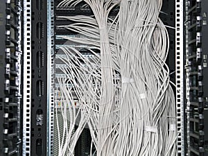 Network cables