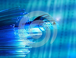 Network cables closeup