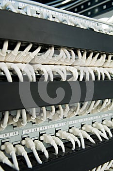 Network cables in communication rack