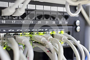 Network cables connected in network switches