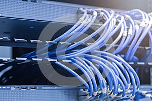 network cables connected in network switches