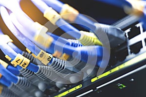 Network cables connected in network switches