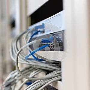 network cables connected in network switches hub