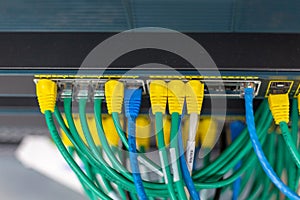 network cables connected in network switches hub