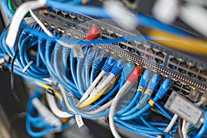 network cables connected in network switches hub