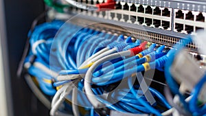 network cables connected in network switches hub